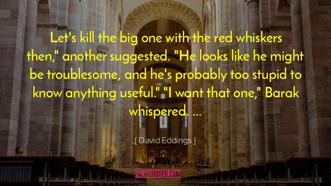 Barak quotes by David Eddings