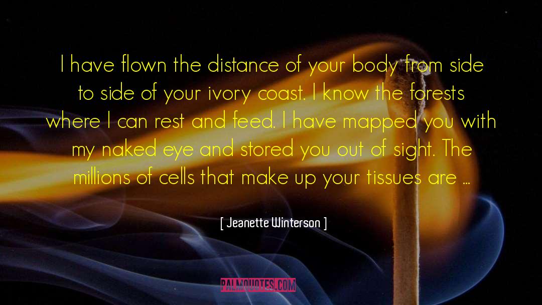 Baranano Retina quotes by Jeanette Winterson