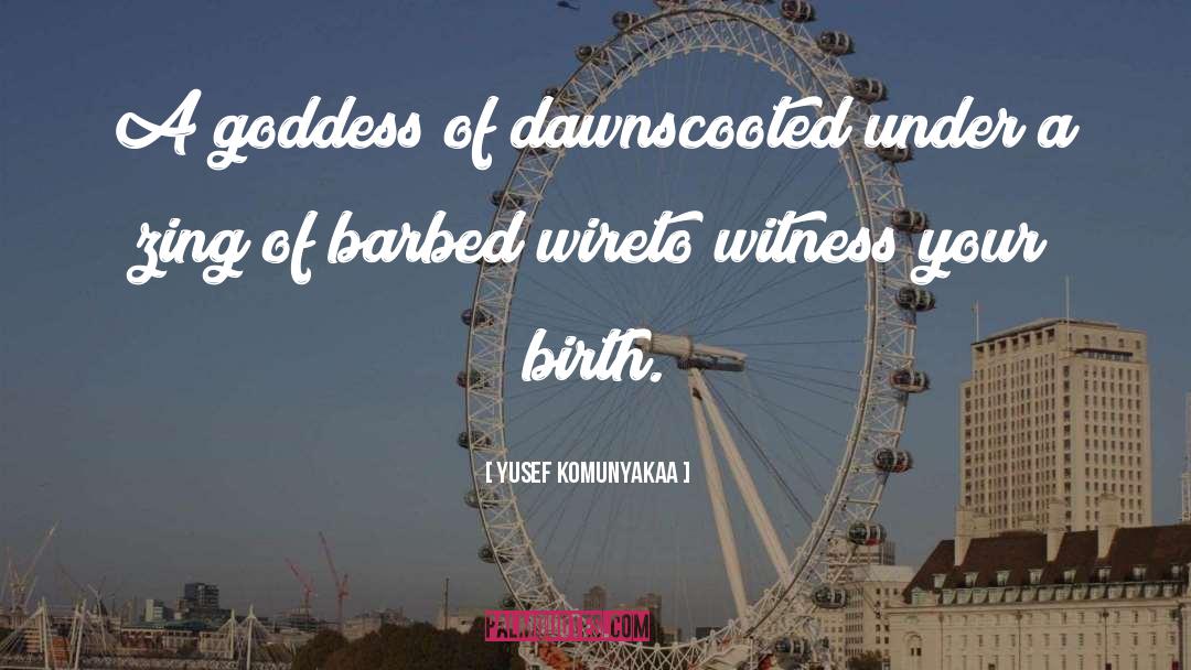 Barbed quotes by Yusef Komunyakaa