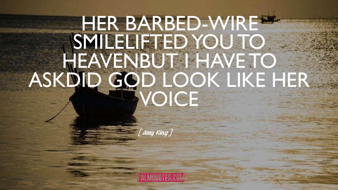 Barbed quotes by Amy King