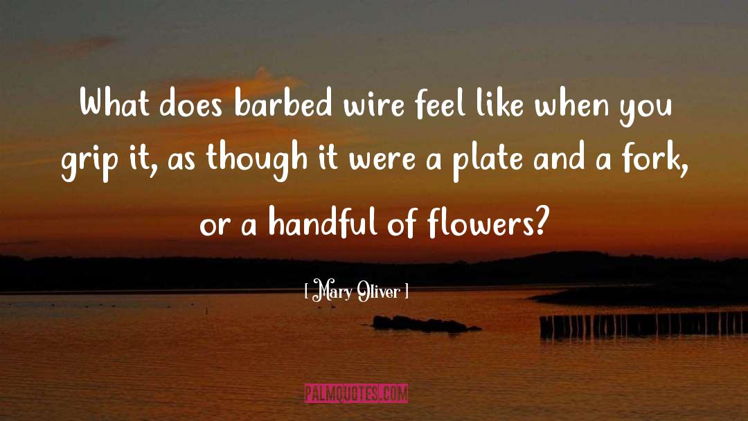 Barbed Wire quotes by Mary Oliver