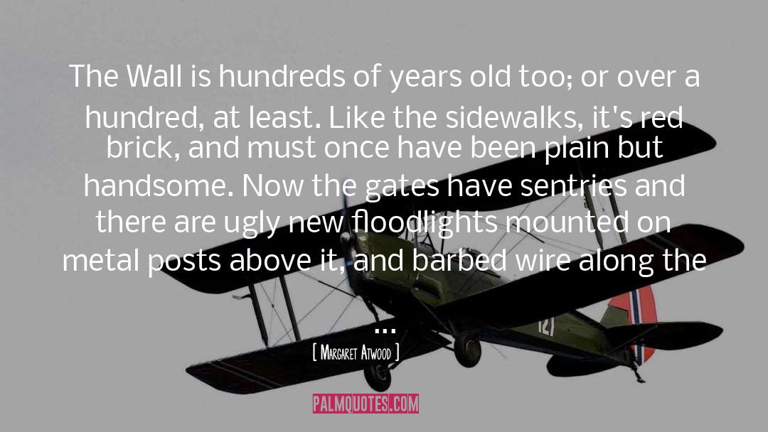 Barbed Wire quotes by Margaret Atwood