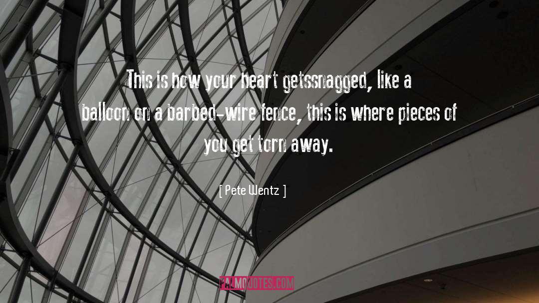 Barbed Wire quotes by Pete Wentz