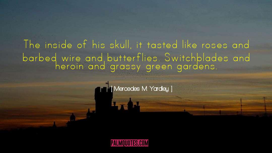 Barbed Wire quotes by Mercedes M. Yardley