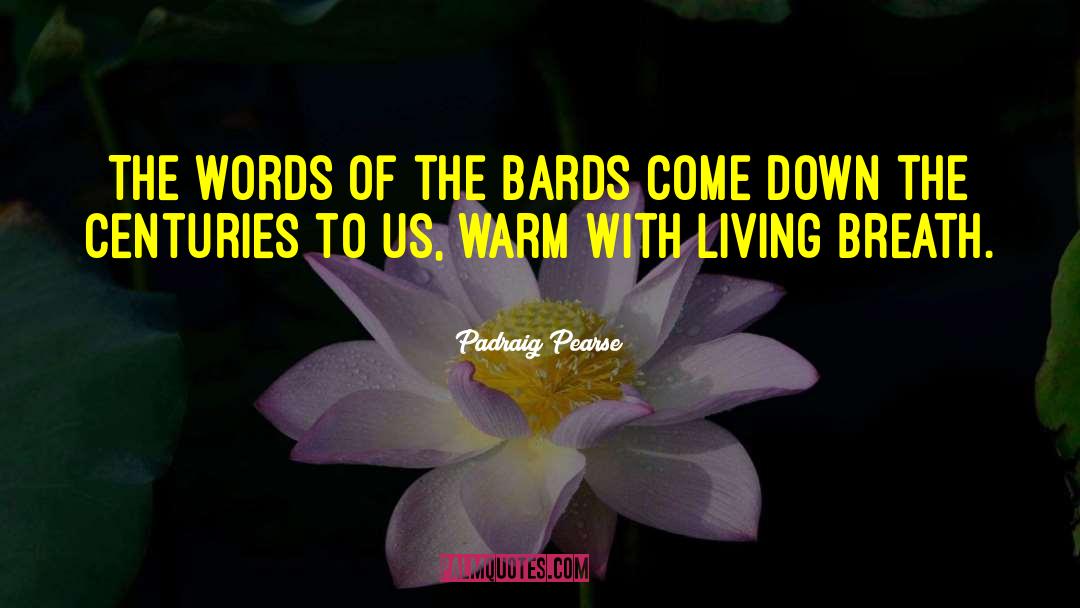 Bards quotes by Padraig Pearse