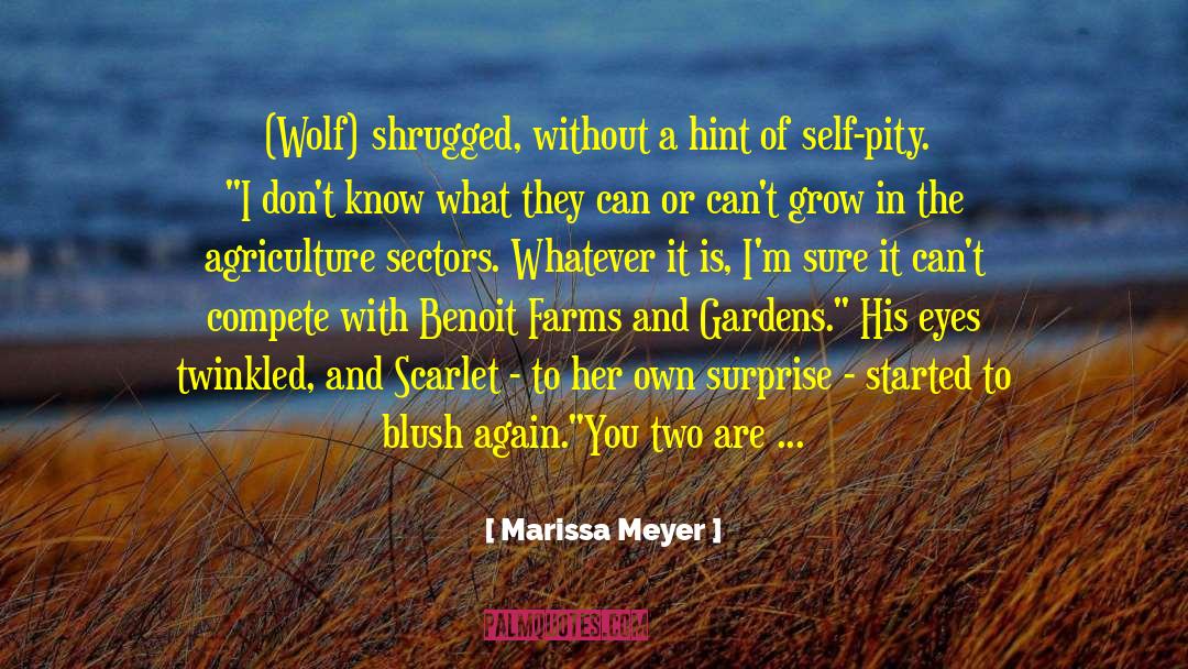 Bardsley Farms quotes by Marissa Meyer