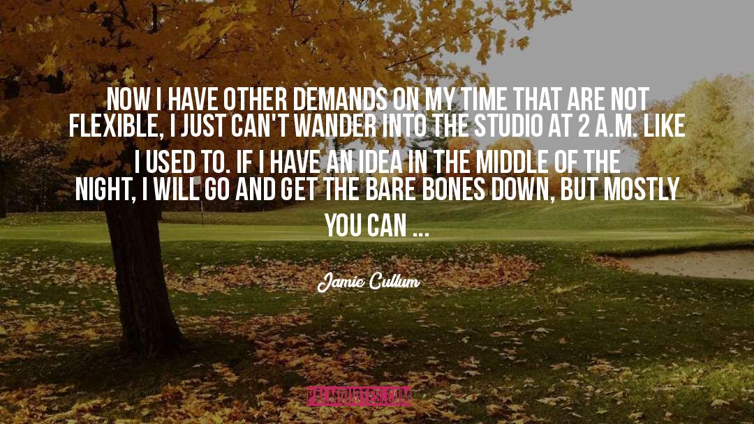 Bare Bones quotes by Jamie Cullum