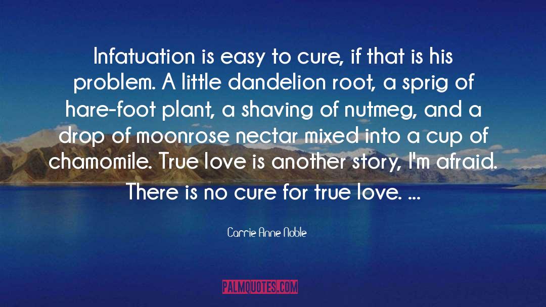 Bare Foot quotes by Carrie Anne Noble