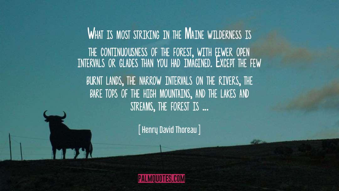 Bare It quotes by Henry David Thoreau
