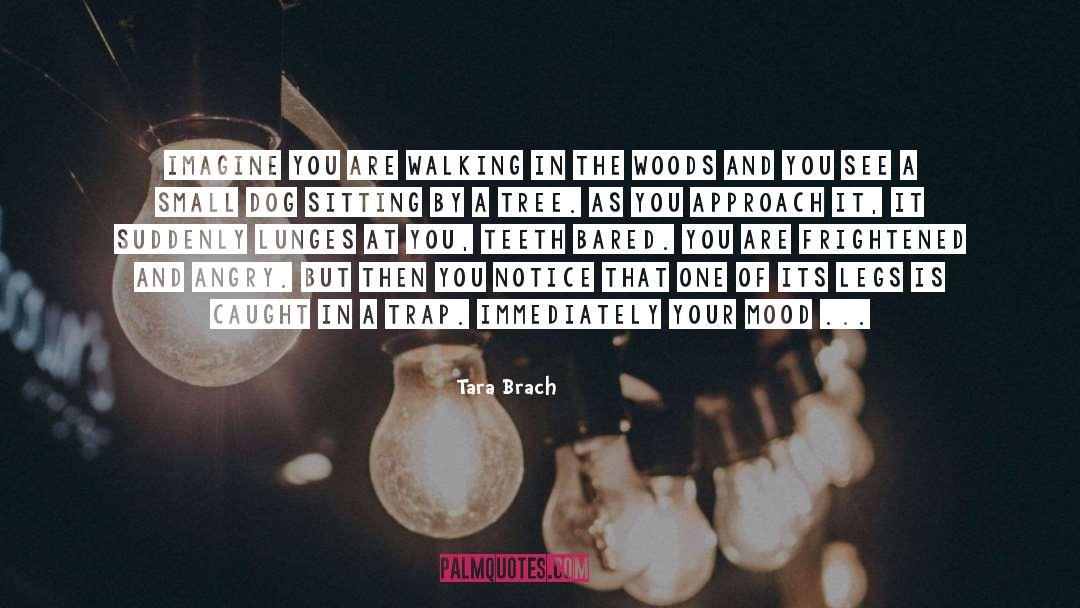 Bared quotes by Tara Brach