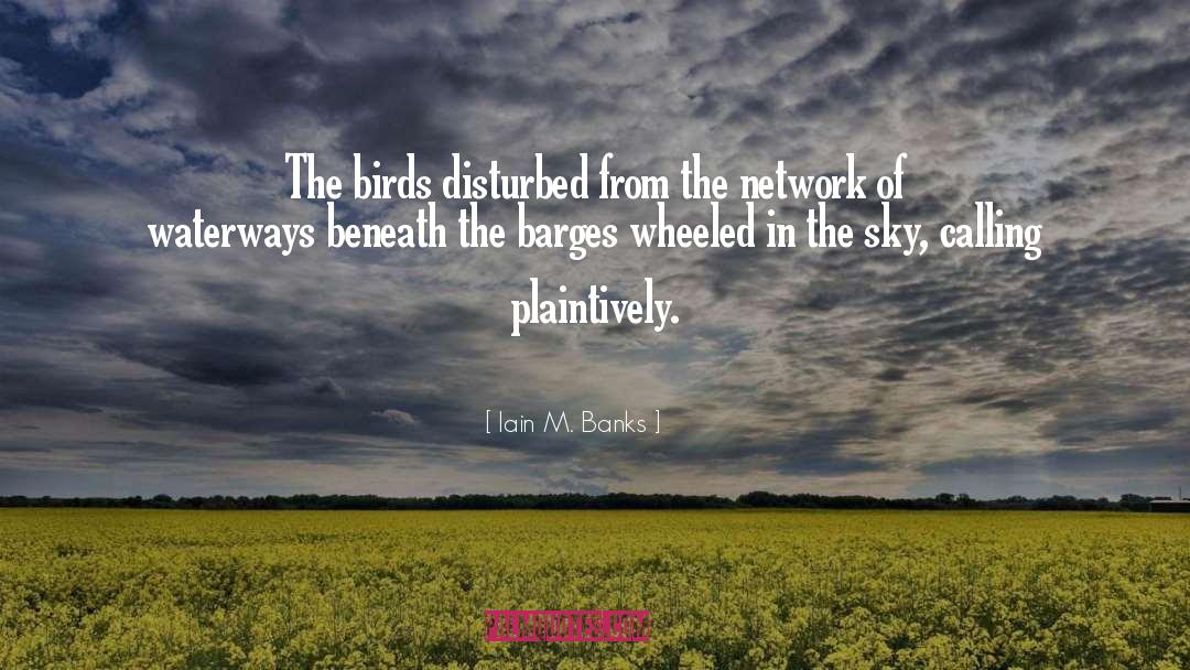 Barges quotes by Iain M. Banks