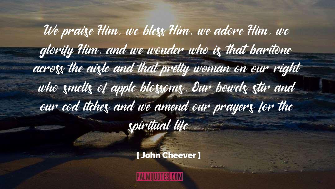 Baritone quotes by John Cheever