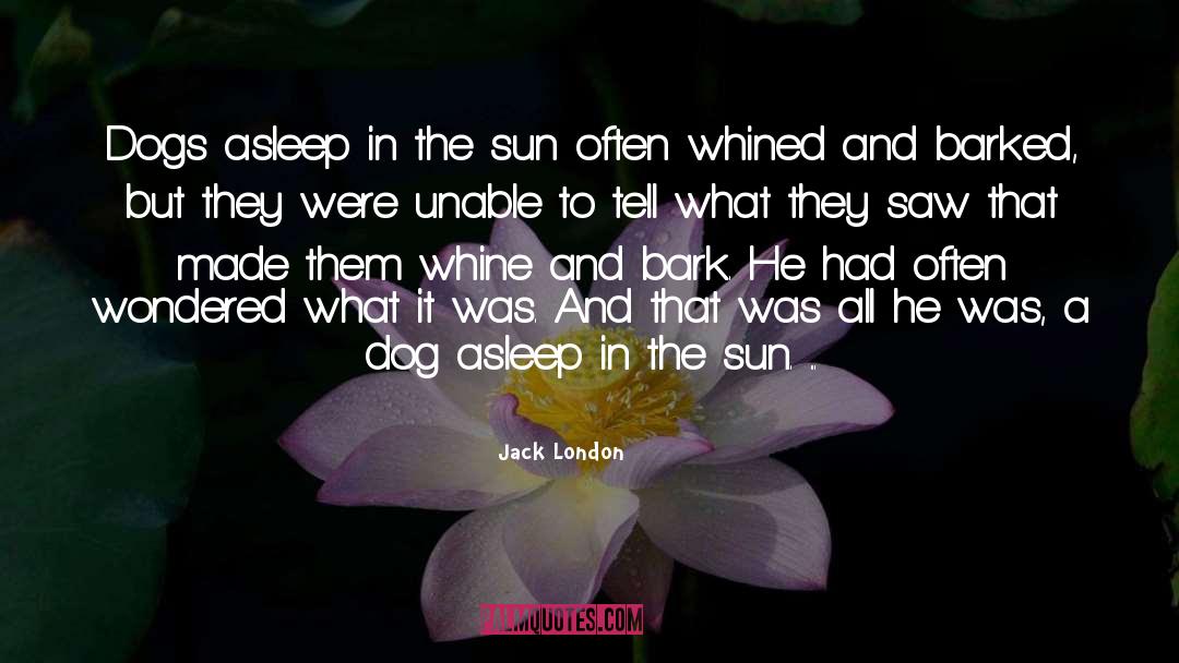 Barked quotes by Jack London