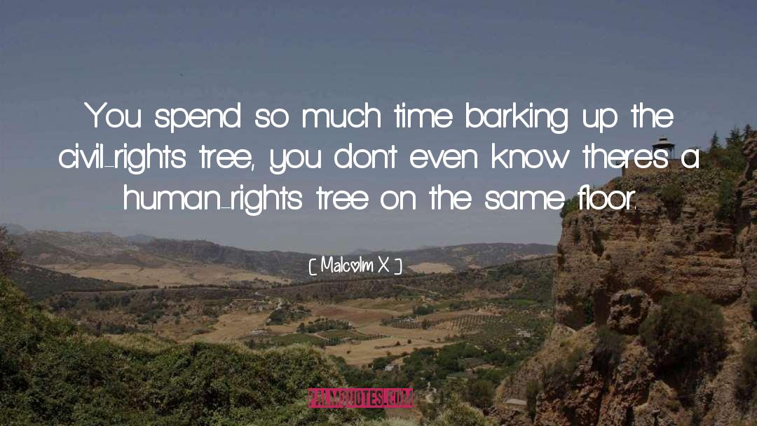 Barking quotes by Malcolm X