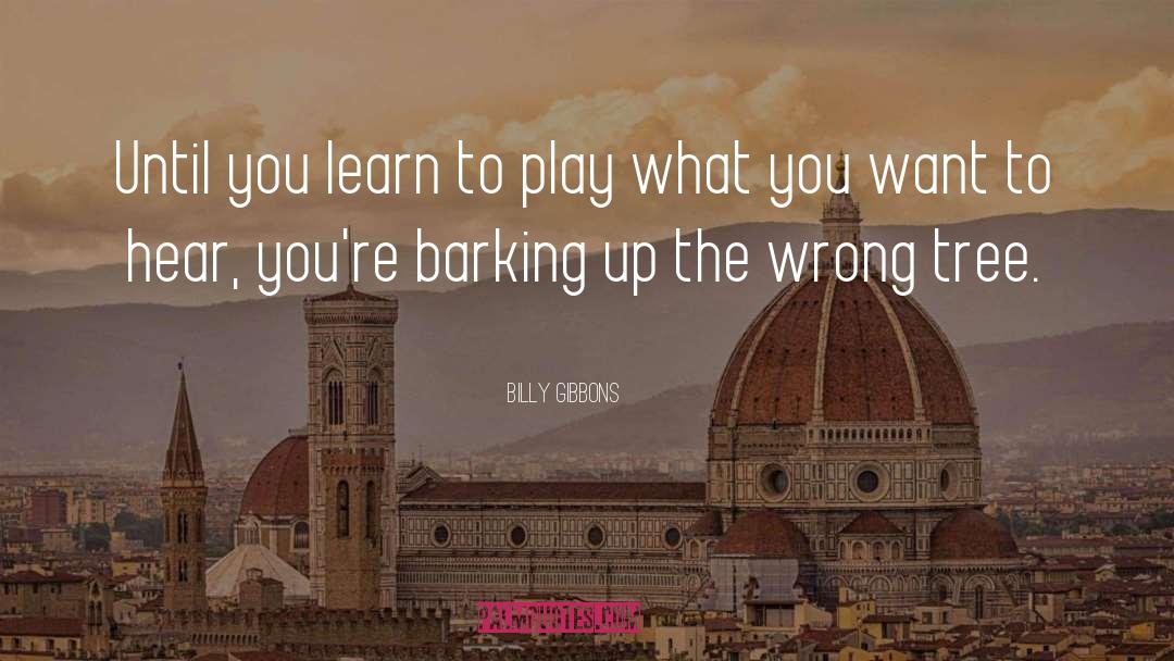 Barking Up The Wrong Tree quotes by Billy Gibbons