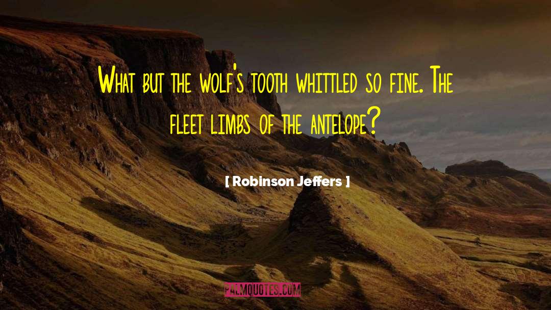 Barklaussies quotes by Robinson Jeffers