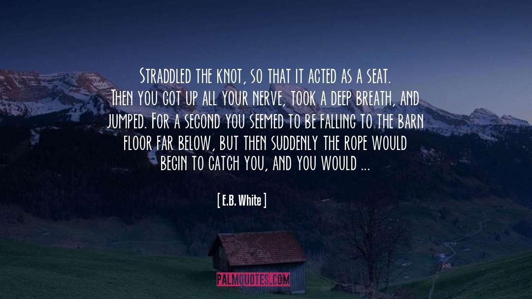 Barn quotes by E.B. White