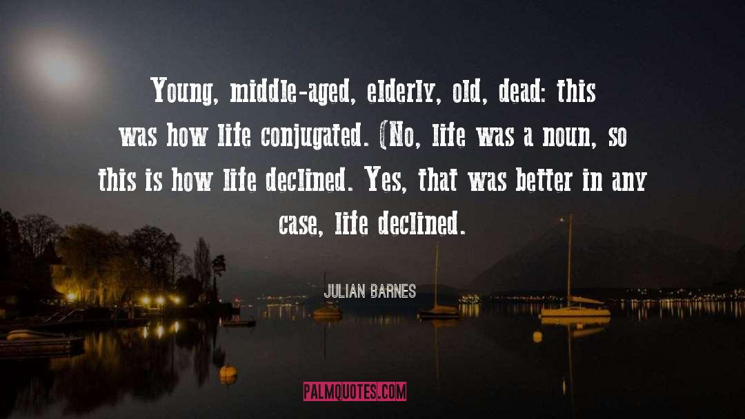 Barnes quotes by Julian Barnes