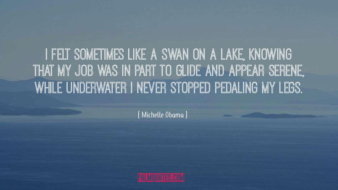 Baronti Lake quotes by Michelle Obama