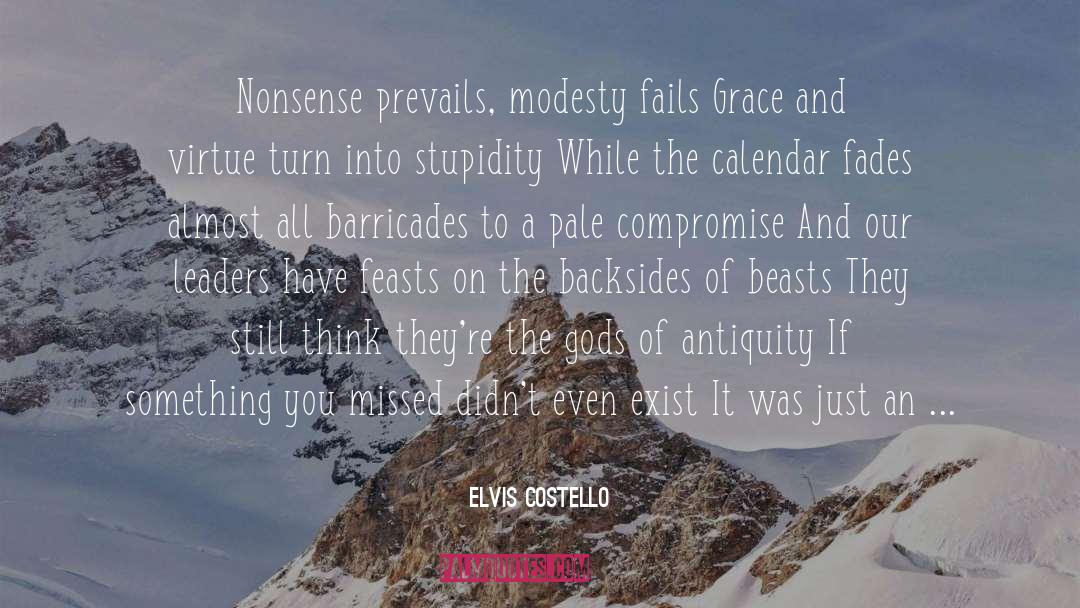 Barricades quotes by Elvis Costello