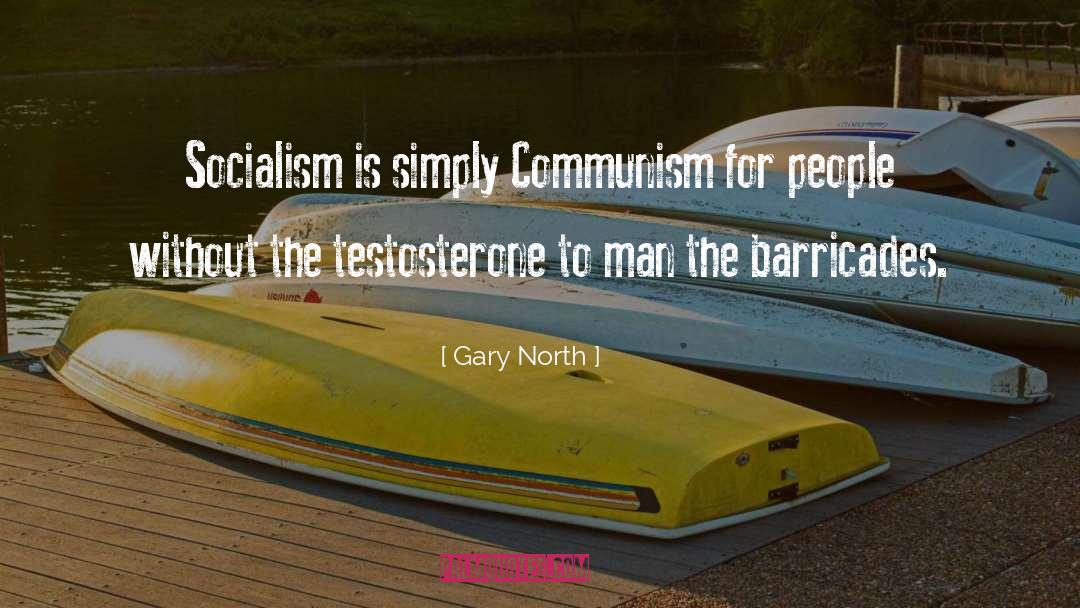 Barricades quotes by Gary North