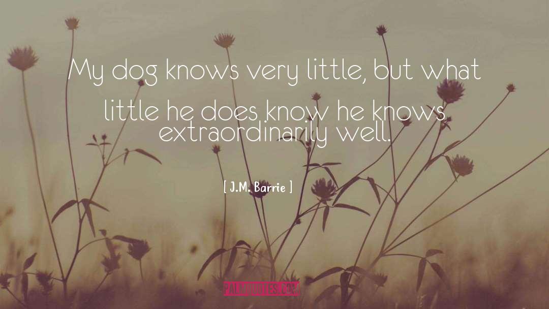 Barrie quotes by J.M. Barrie