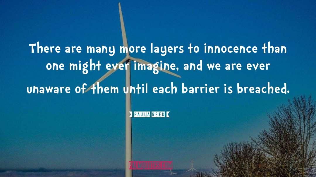 Barrier One Admixture quotes by Paula Reed