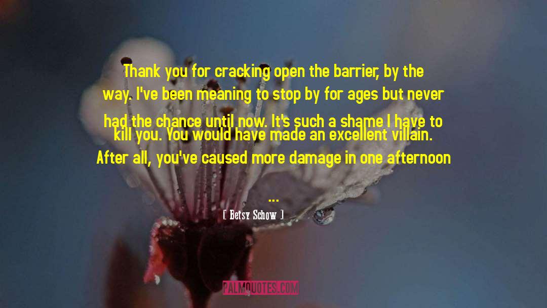 Barrier One Admixture quotes by Betsy Schow