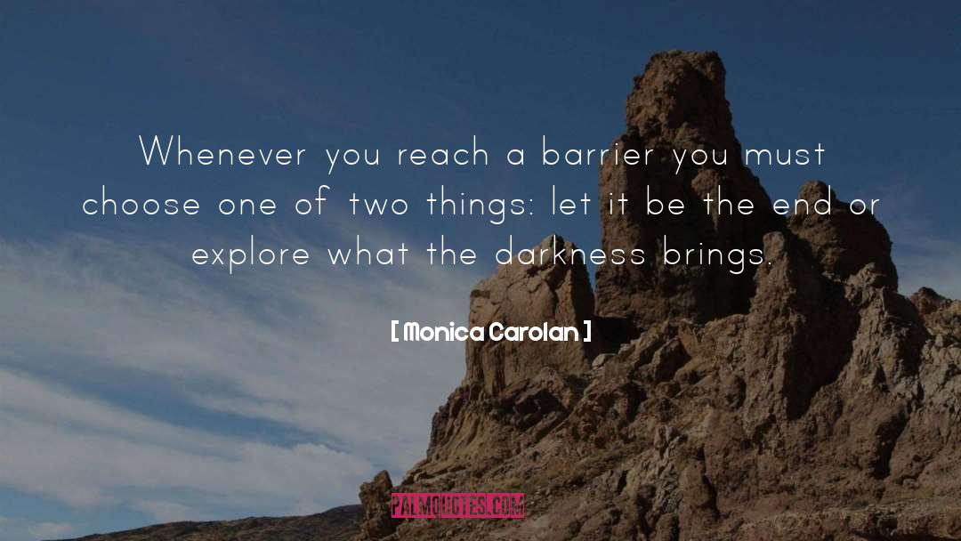 Barrier One Admixture quotes by Monica Carolan