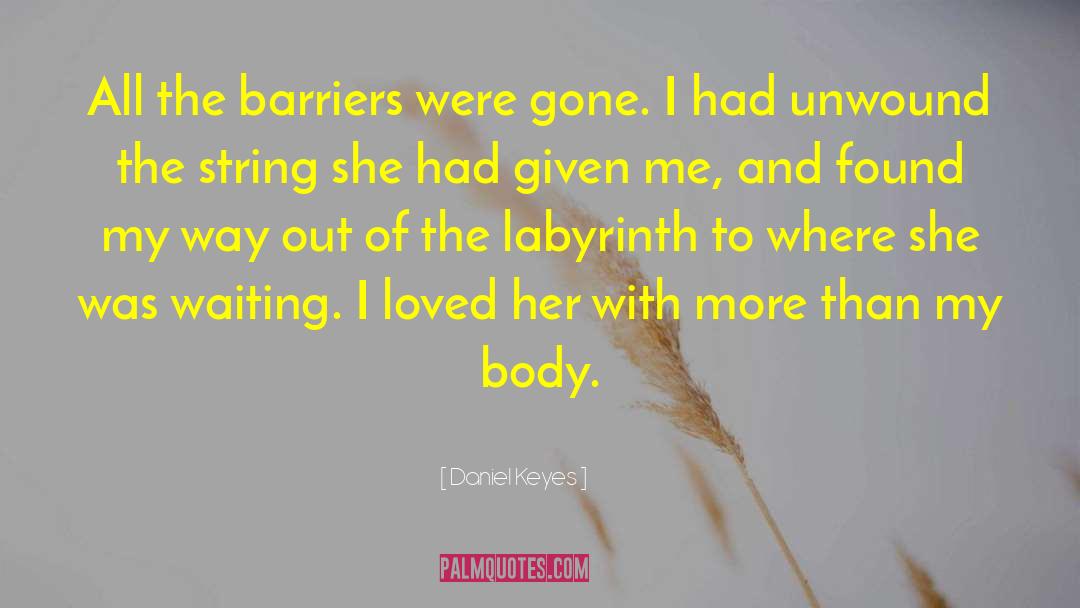 Barriers quotes by Daniel Keyes