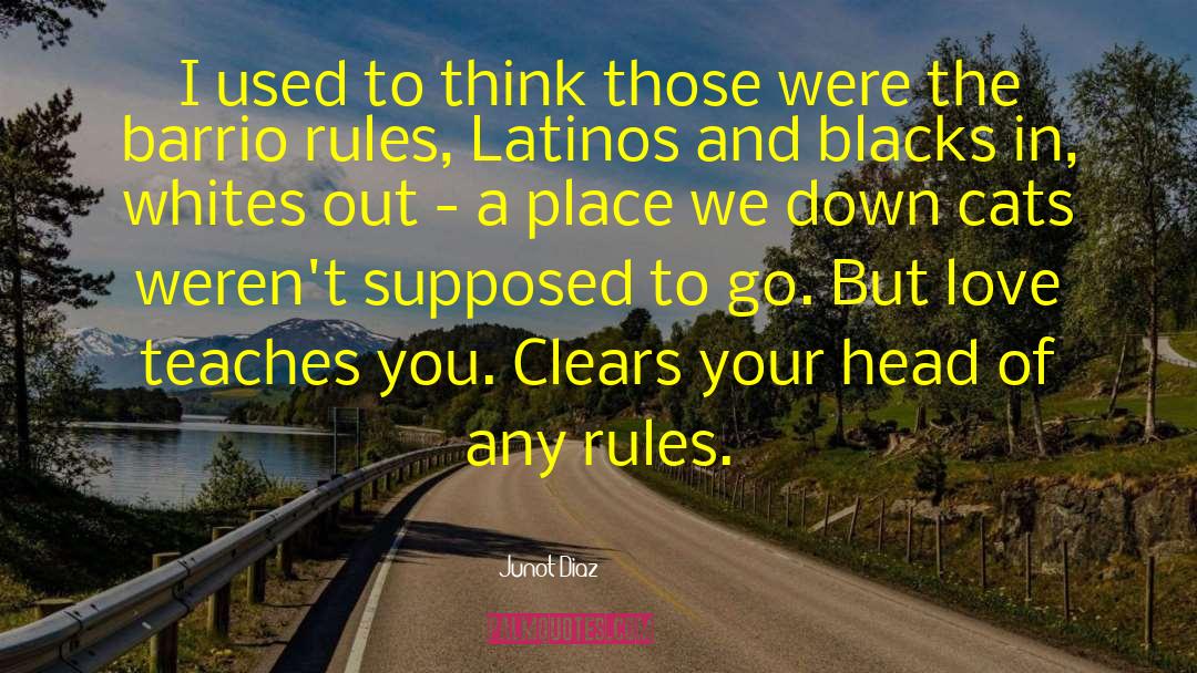 Barrio quotes by Junot Diaz