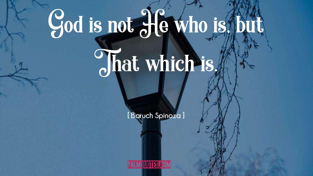 Baruch Spinoza quotes by Baruch Spinoza