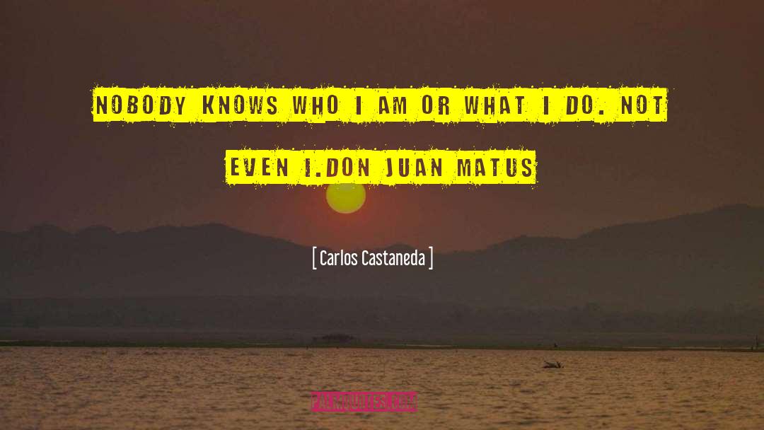 Barullo San Juan quotes by Carlos Castaneda