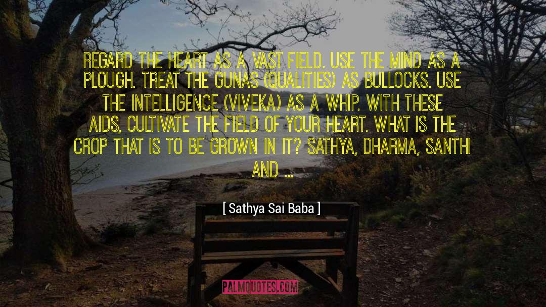 Baseball Field quotes by Sathya Sai Baba