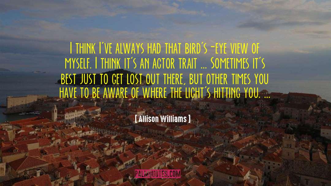 Baseball Hitting quotes by Allison Williams