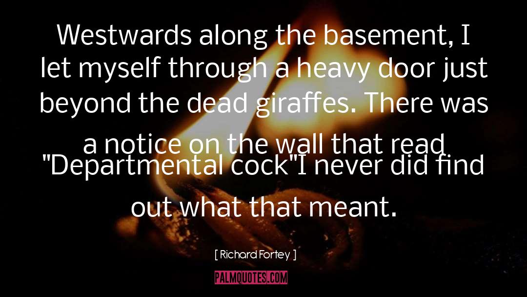 Basement quotes by Richard Fortey
