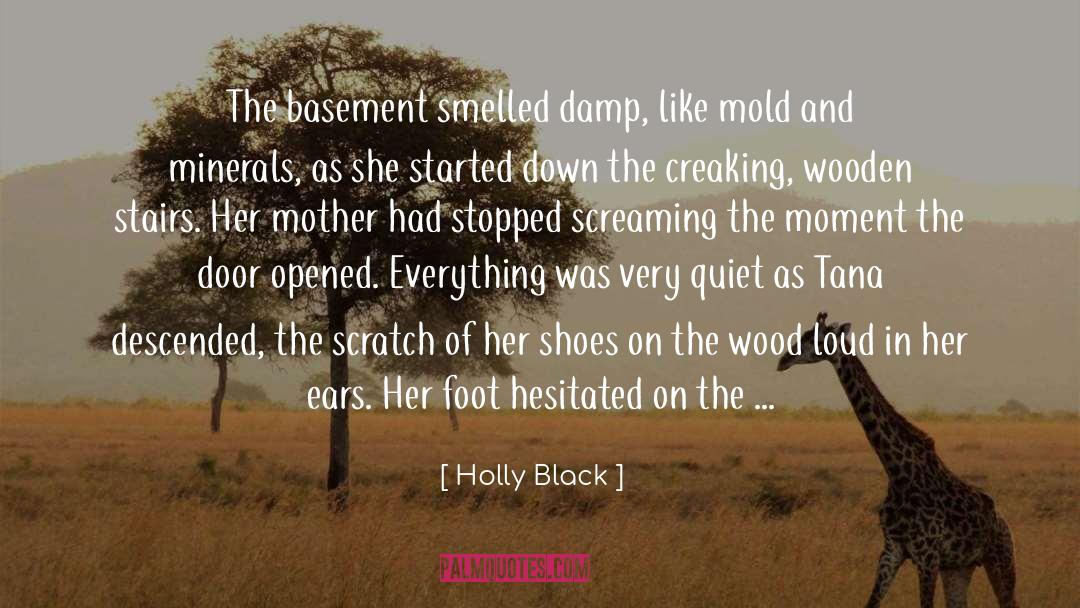 Basement quotes by Holly Black