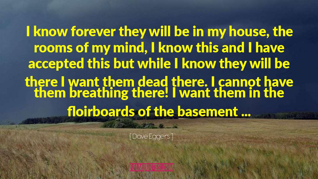 Basement quotes by Dave Eggers