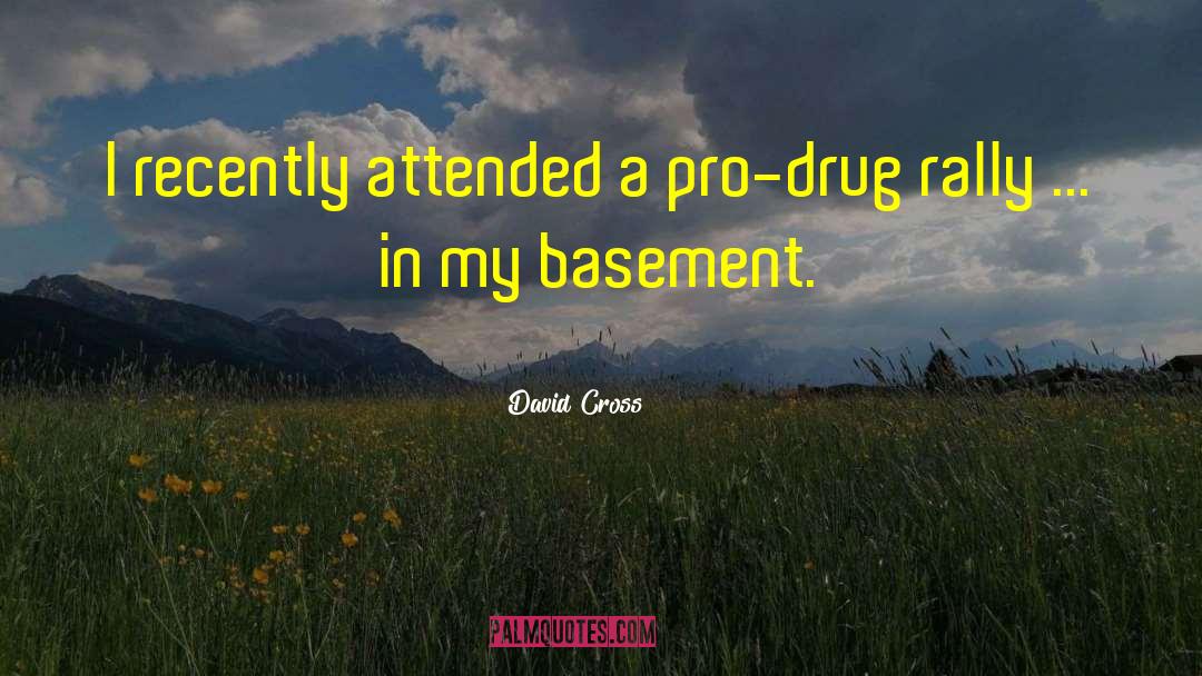 Basements quotes by David Cross