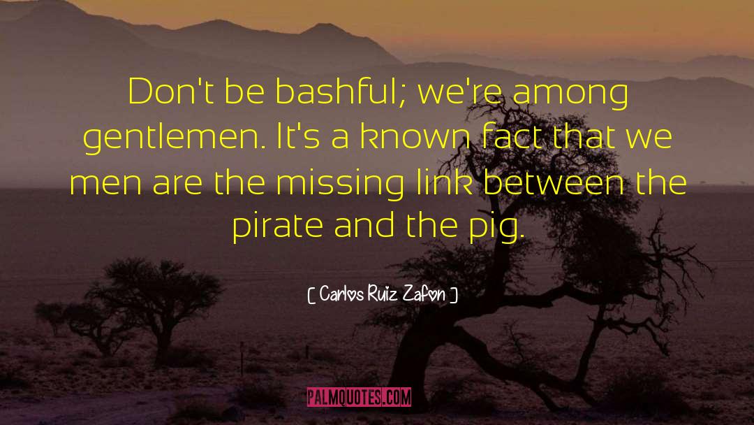 Bashful quotes by Carlos Ruiz Zafon