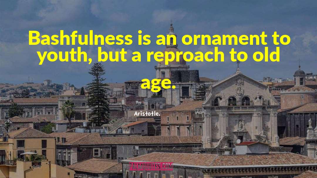 Bashfulness quotes by Aristotle.