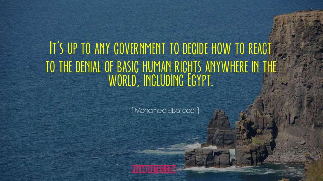 Basic Human Rights quotes by Mohamed ElBaradei