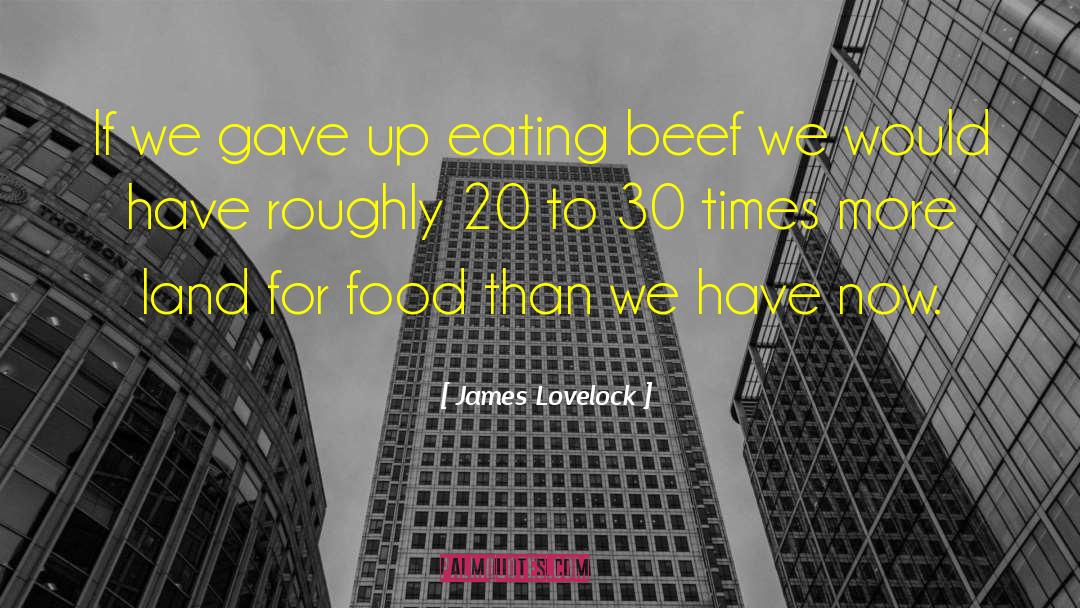 Basinger Beef quotes by James Lovelock