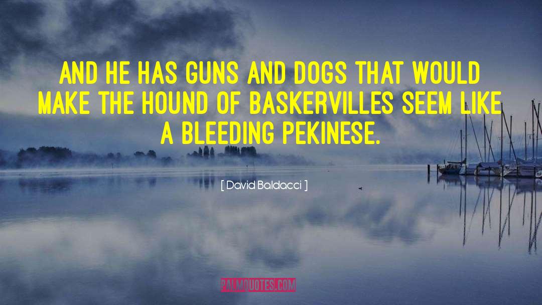 Baskervilles quotes by David Baldacci