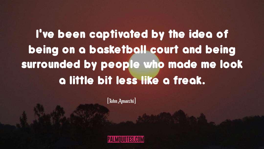 Basketball Court quotes by John Amaechi
