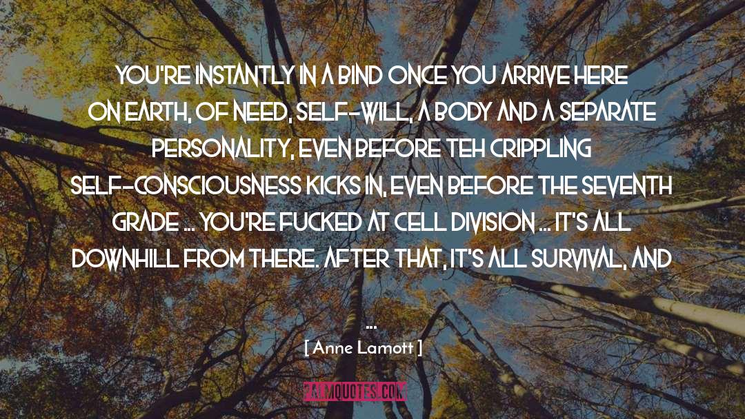 Basketball Life quotes by Anne Lamott