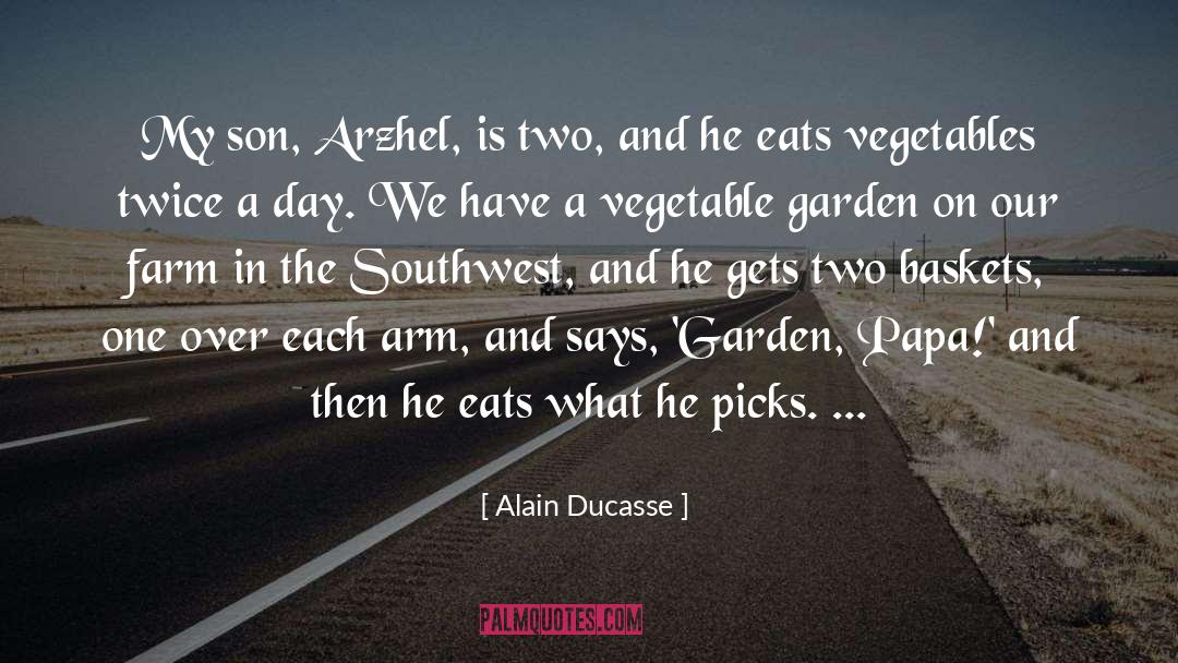 Baskets quotes by Alain Ducasse