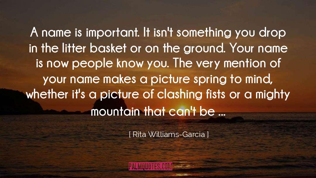 Baskets quotes by Rita Williams-Garcia