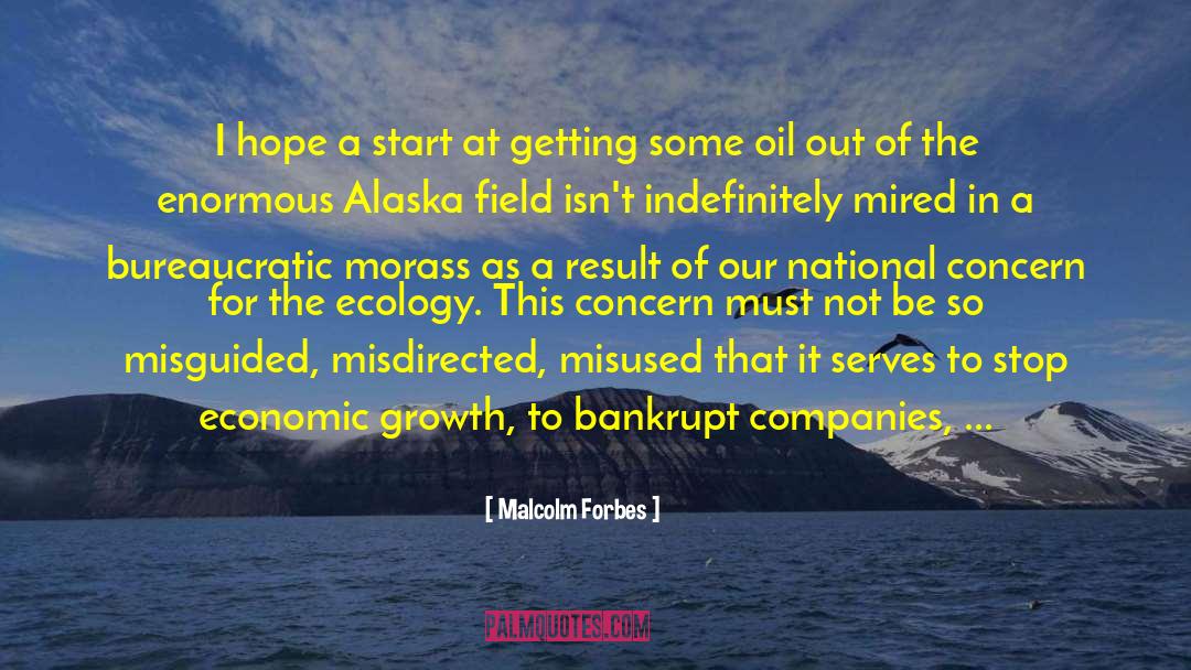 Basnicki Alaska quotes by Malcolm Forbes