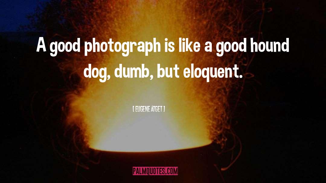 Basset Hound quotes by Eugene Atget